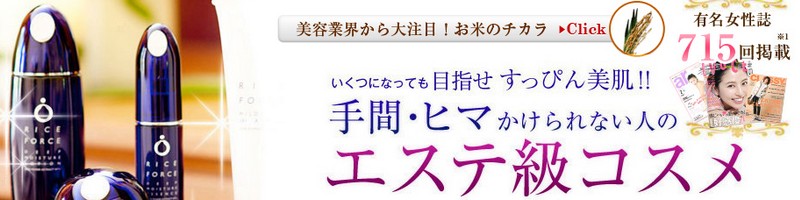 ���C�X�t�H�[�X���T�C�g